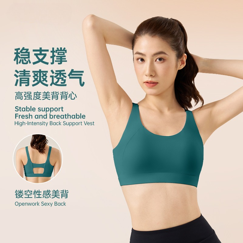 고정형 가슴 패드가 있는 스포츠 브라, 캐주얼 러닝 피 - Push Up Bra Padded 리뷰 및 가격