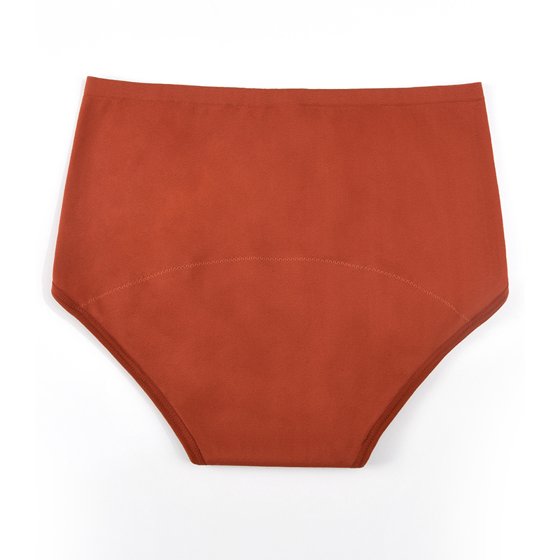 여성용 심리스 생리팬티, 3중 흡수 보호 기능, 단색  - Period Panty Absorbent 리뷰 및 가격