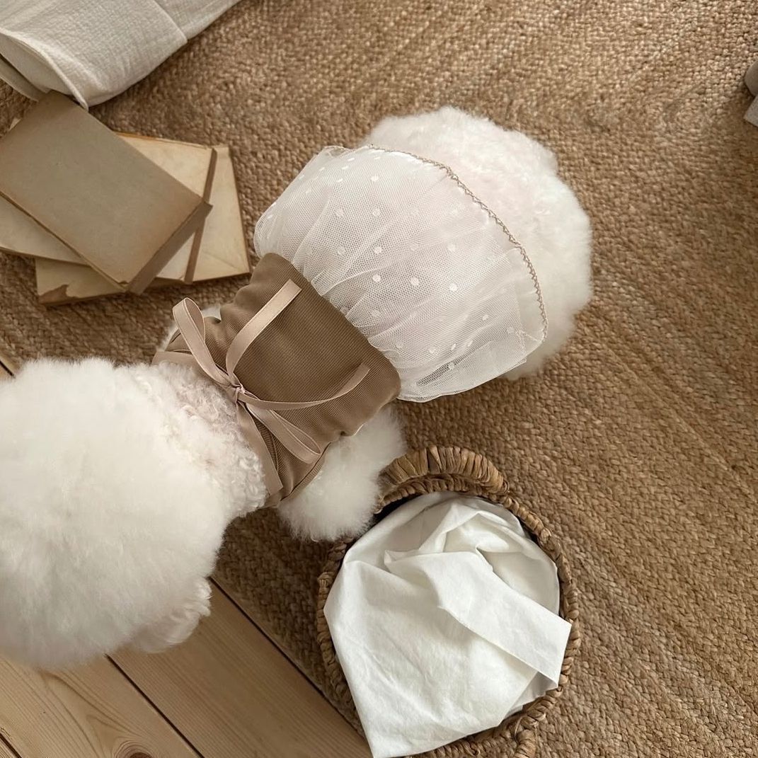 봄과 여름 애완견 레이스 캐미솔 조끼 드레스 테디 소형 - Lace Teddy Lingerie 리뷰 및 가격