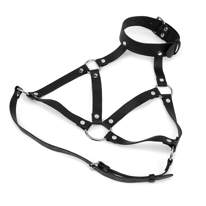 여성 패션 하네스 벨트 가슴 하네스 코르셋, 섹시한 가 - Garter Belt Set 리뷰 및 가격