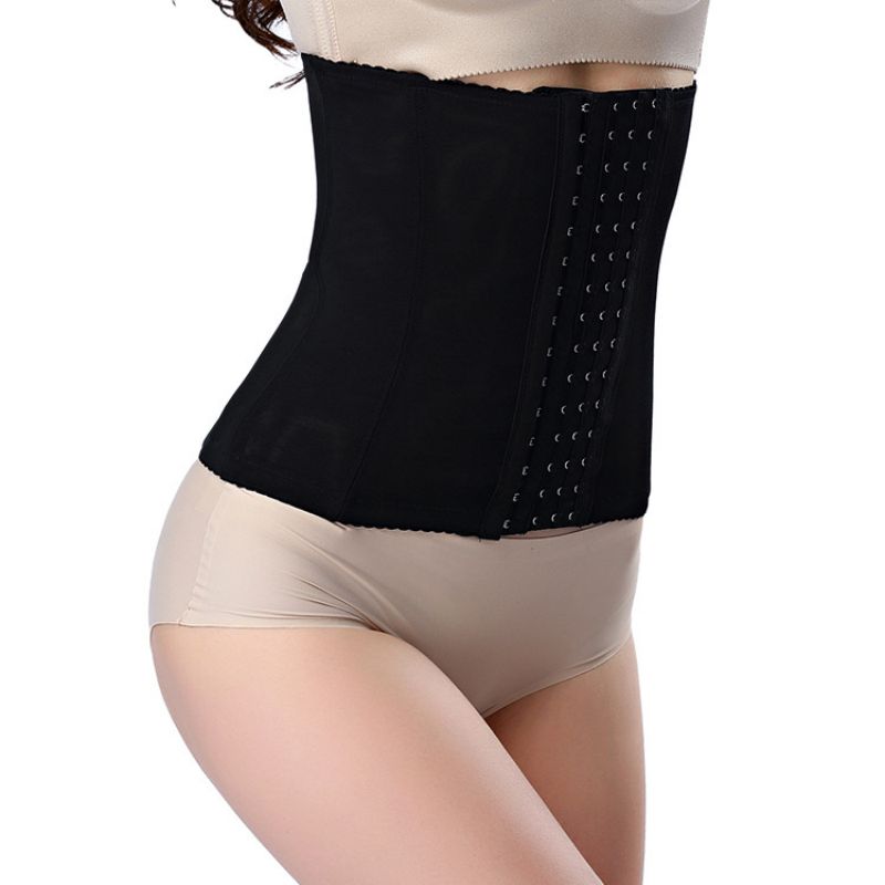 바디 셰이퍼 허리 트레이너 바디 셰이퍼 섹시한 뷔스티에 - Corset Waist Cinch 리뷰 및 가격
